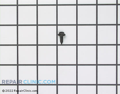 Screw 302868 Main Product View