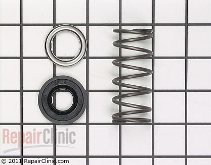 Spring and Seal Kit (OEM)  285672