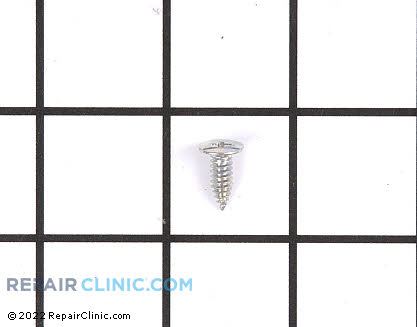 Screw 33001787 Main Product View