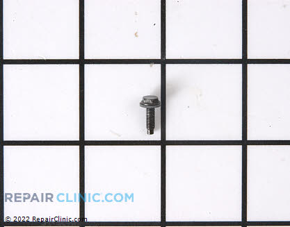 Screw 316069301 Main Product View
