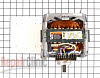 Drive Motor 661600          Alternate Product View