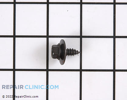 Screw 22002933 Main Product View