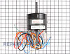 Motor M16150P Alternate Product View