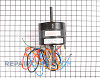 Motor M16150P Alternate Product View