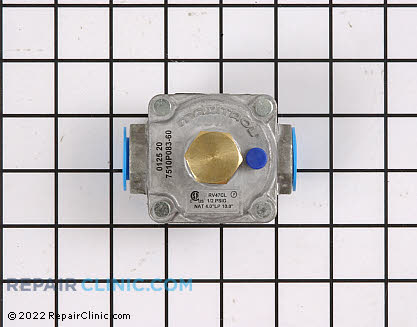 Pressure Regulator (OEM)  74006282