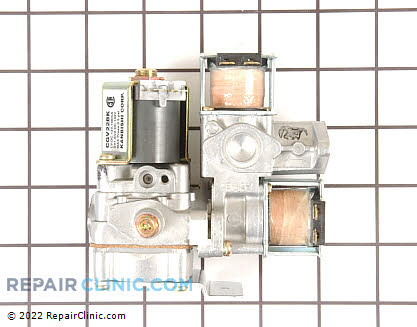 Gas Valve Assembly WE01X10201 Main Product View