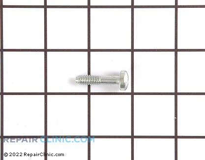 Screw (OEM)  169525