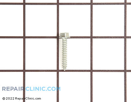 Screw (OEM)  489474