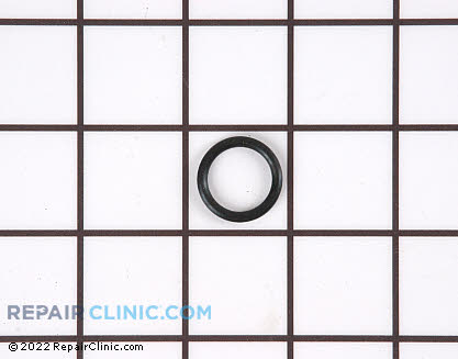 O-Ring (OEM)  22002417