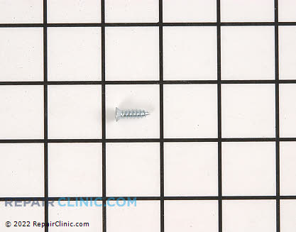Screw (OEM)  500226