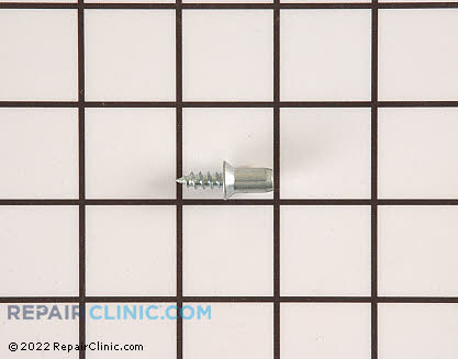 Screw 31750709 Main Product View