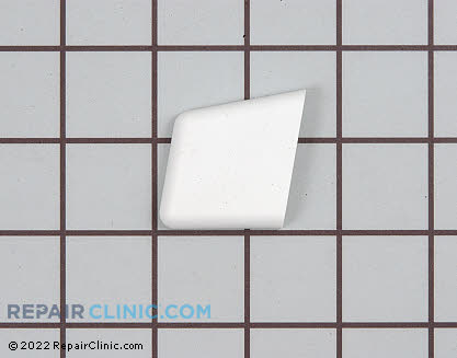 Handle Cap (OEM)  10907401