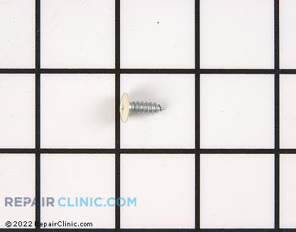 Screw 74009541        Main Product View
