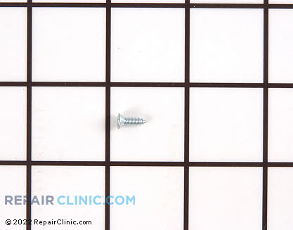 Screw 6200070 Main Product View