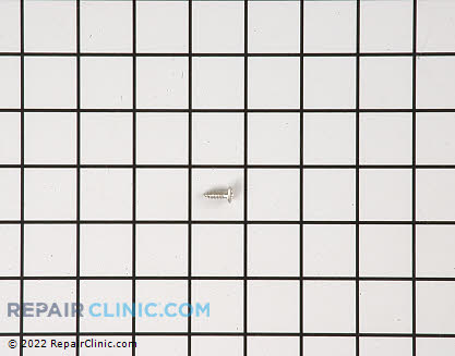 Screw 6200720 Main Product View