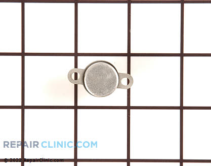 Thermal Fuse 31866P01 Main Product View