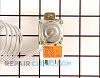 Temperature Control Thermostat 61001343 Alternate Product View