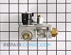 Gas Valve Assembly 58804           Alternate Product View