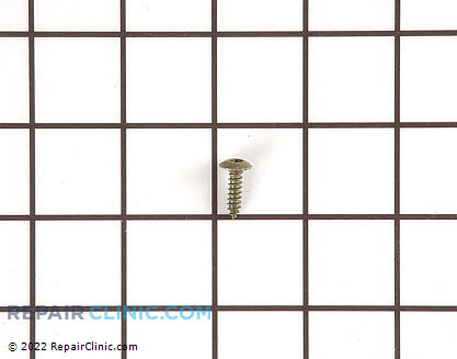 Screw WR01X10038 Main Product View