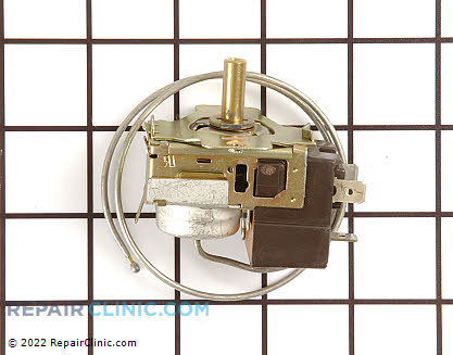 Temperature Control Thermostat (OEM)  216620200