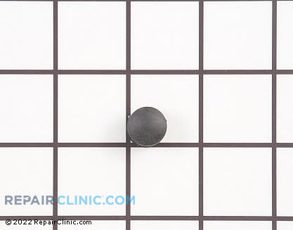 Clock Knob (OEM)  318017800
