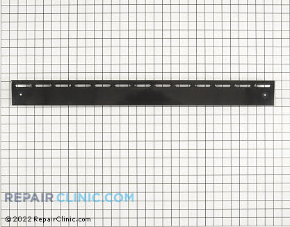 Trim Piece (OEM)  318049019