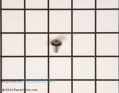 Screw (OEM)  488787