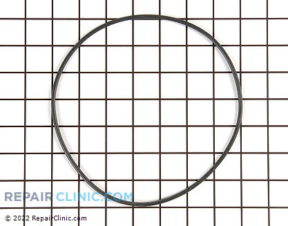 Pump Gasket (OEM)  99001797