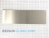 Door Panel 31917101SS Alternate Product View