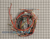 Harness, wire (main) - Part # 906795 Mfg Part # 4455739