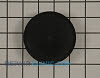 Dispenser Door Flap WR17X11653 Alternate Product View