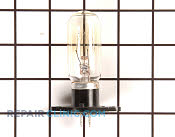Light Bulb - Part # 2029139 Mfg Part # 4713-001012