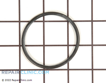 O-Ring WS03X10045 Main Product View