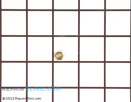 Nut (OEM)  418677