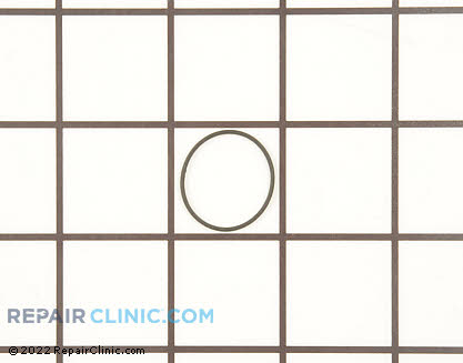 O-Ring (OEM)  318337100