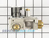 Gas Valve Assembly 60353P Alternate Product View