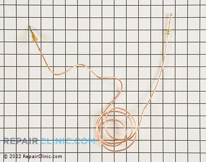 Flame Sensor WB19K10025 Main Product View