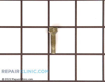 Screw WR01X10600 Main Product View