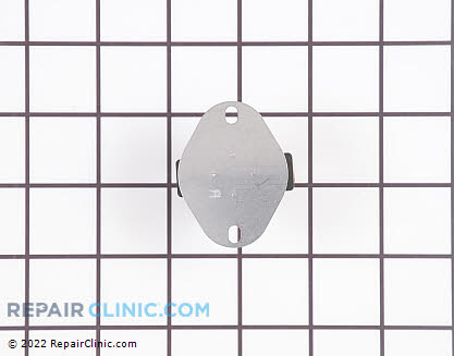 Thermal Fuse 318004902 Main Product View