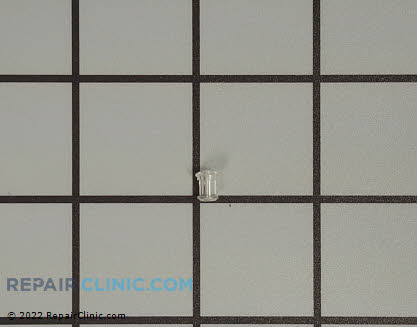Light Lens Cover (OEM)  316557300