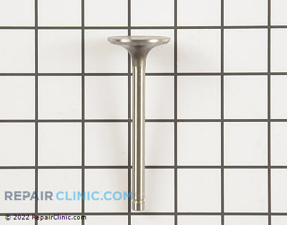 Intake Valve 24 017 01-S Main Product View