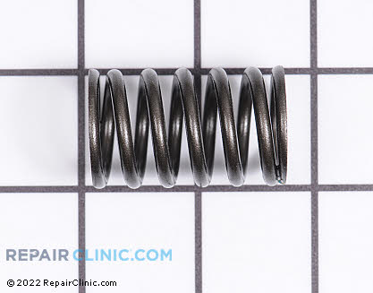 Valve Spring 24 089 02-S Main Product View
