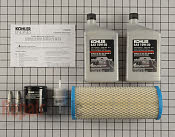 Tune Up Kit - Part # 1602749 Mfg Part # 25 789 01-S