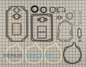 Gasket Set - Part # 1604127 Mfg Part # 480-339