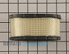 Air Filter 393725          Alternate Product View