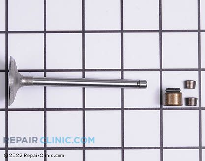 Intake Valve, Briggs & Stratton Genuine OEM  792200