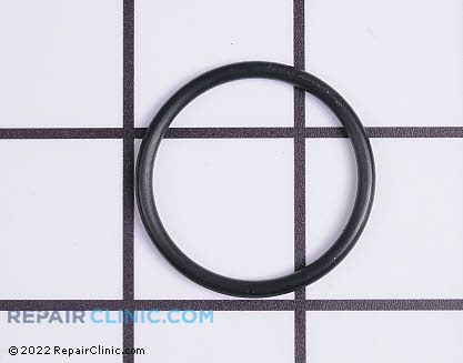 O-Ring 691870 Main Product View