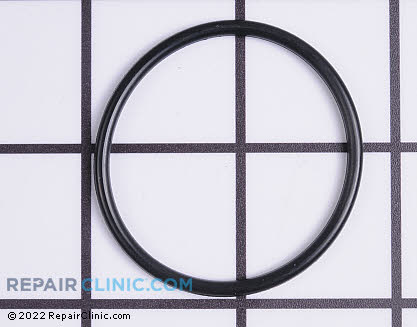 O-Ring, Briggs & Stratton Genuine OEM  697123