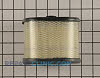 Air Cleaner 695302          Alternate Product View