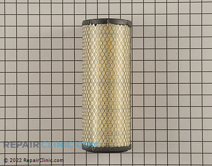 Air Cleaner, Briggs & Stratton Genuine OEM  841497, 1611312